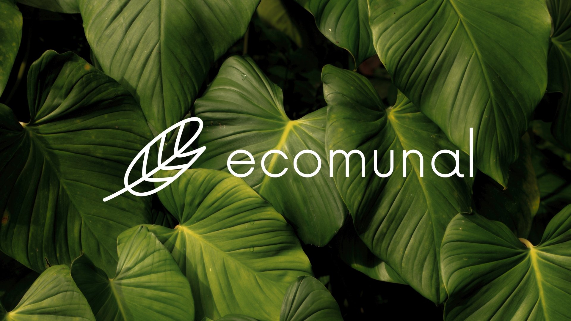 Logotipo de Ecomunal integrado en una composición de follaje natural orgánico. Representación visual de la identidad de marca sustentable y el diseño de alta gama desarrollado por Outroute Digital.