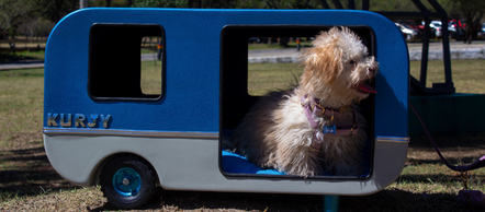 Un pequeño y peludo perro descansa dentro de una exclusiva cama para mascotas con forma de mini camper retro de KURJY, de color azul y gris, con el logo KURJY visible.